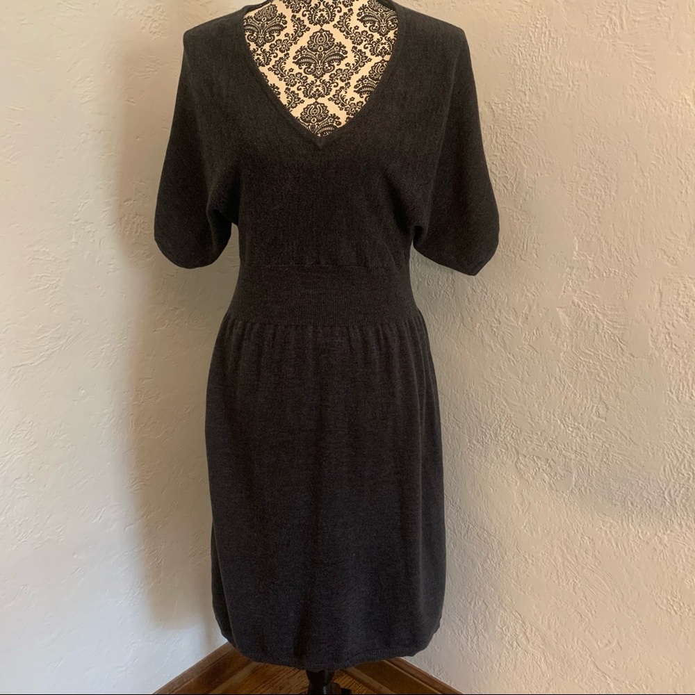 Daisy Fuentes Sweater Dress